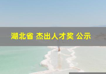 湖北省 杰出人才奖 公示